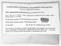 Image Associated With the Occurence